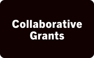 Collaborative Grants